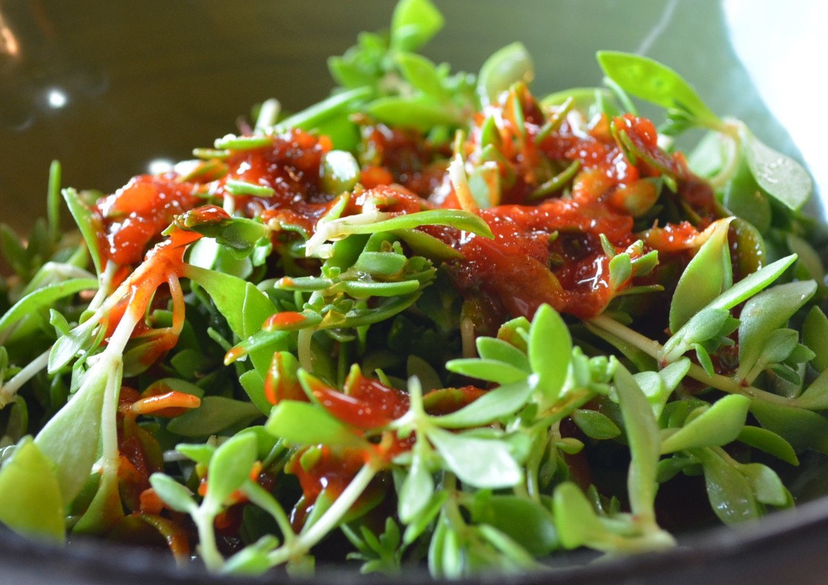 A green salad topped with a thick red sauce