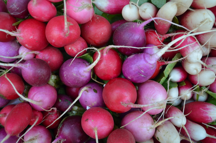 Several different coloured radishes